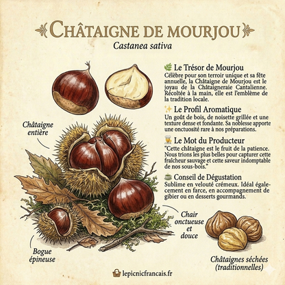 Velouté automnal châtaignes Auvergne – Le Picnic Français