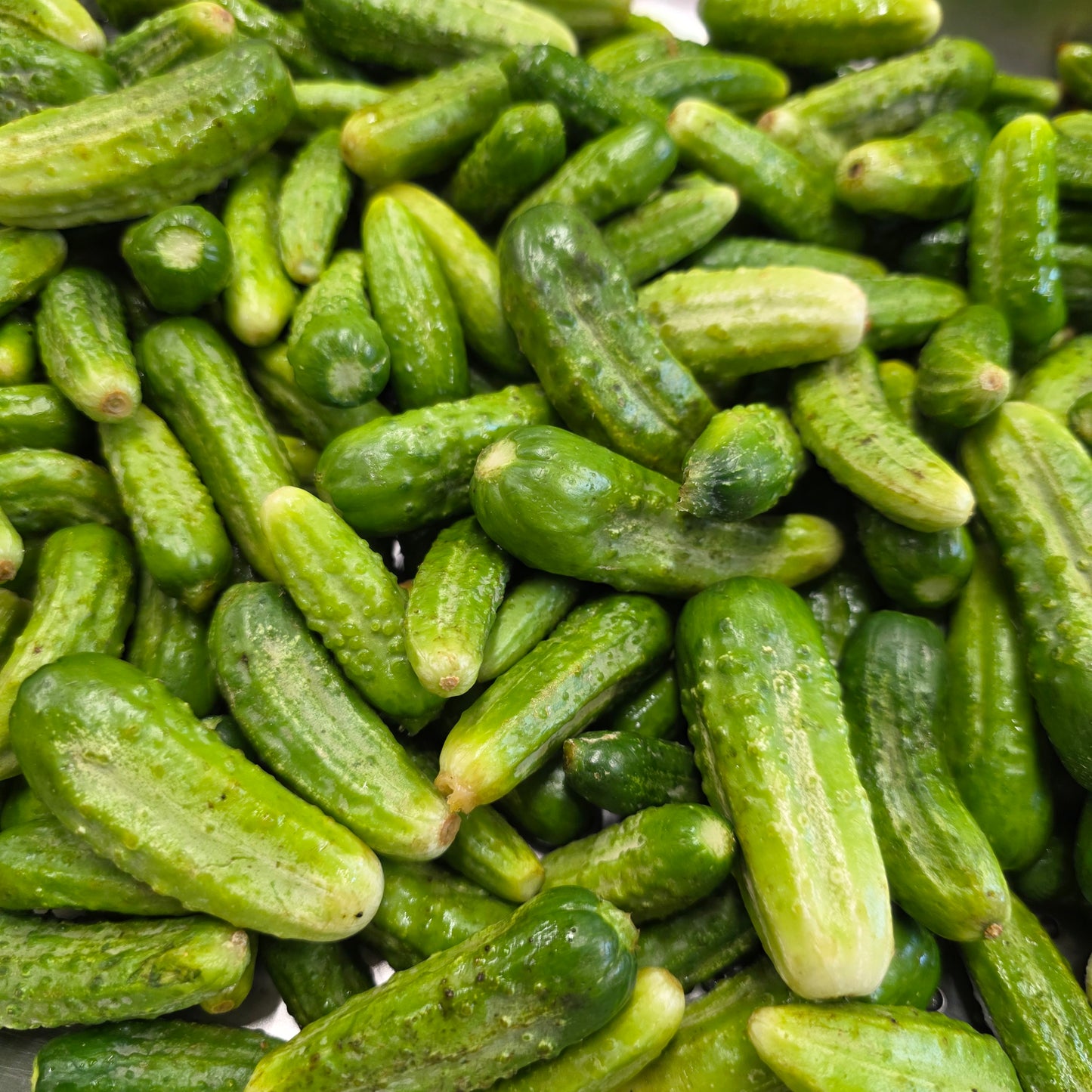 Cornichons en bocal 225g – Le Picnic Français