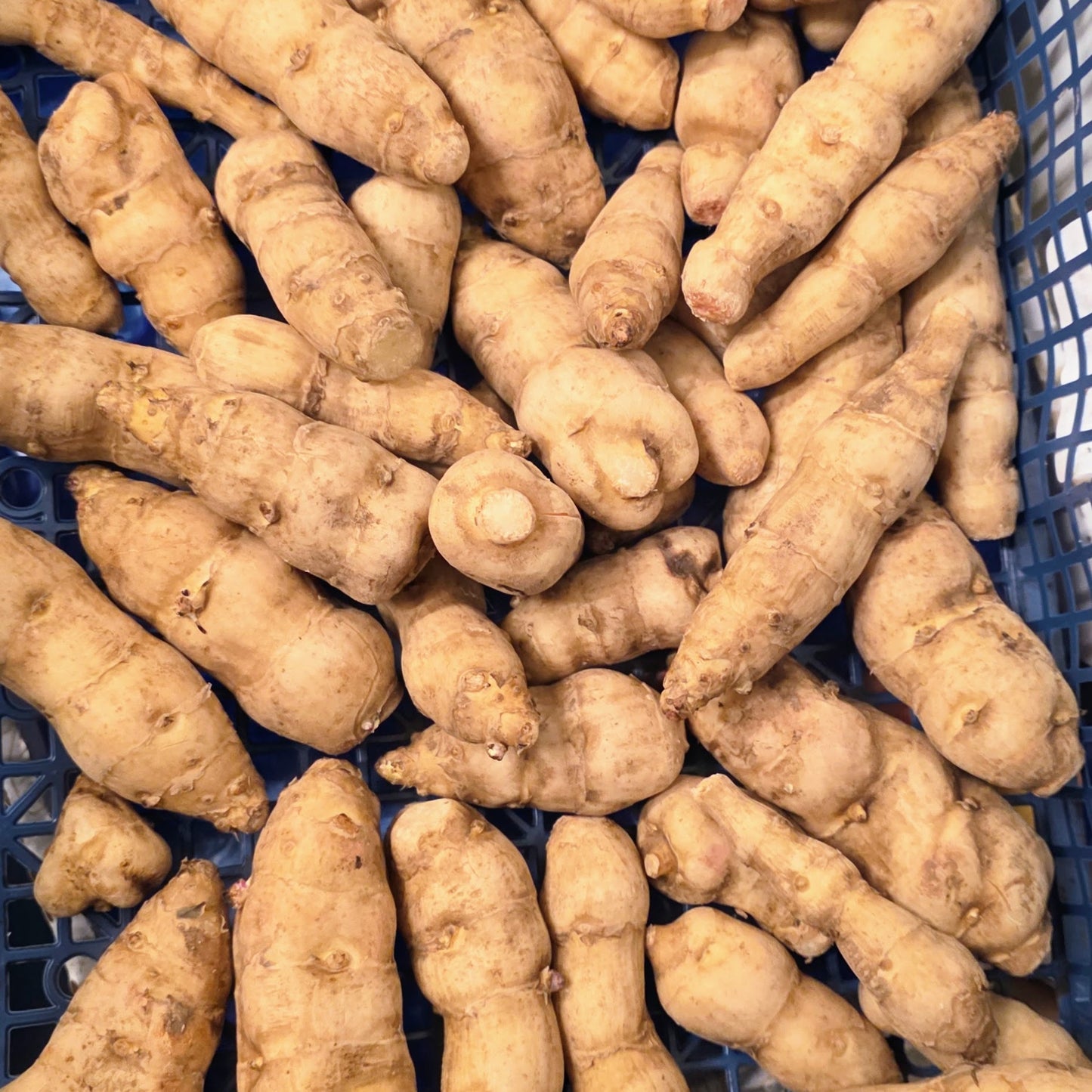 Velouté d'Hélianthis tubéreux