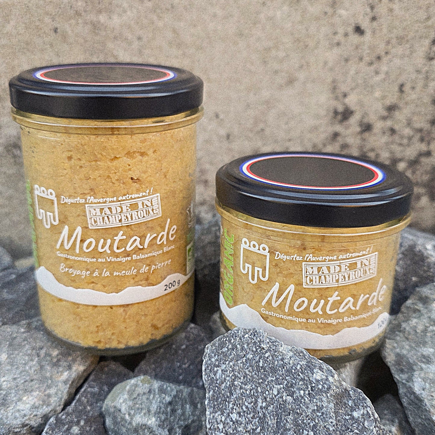 Moutarde gastronomique BIO de Champeyroux — ingrédient signature du saucisson