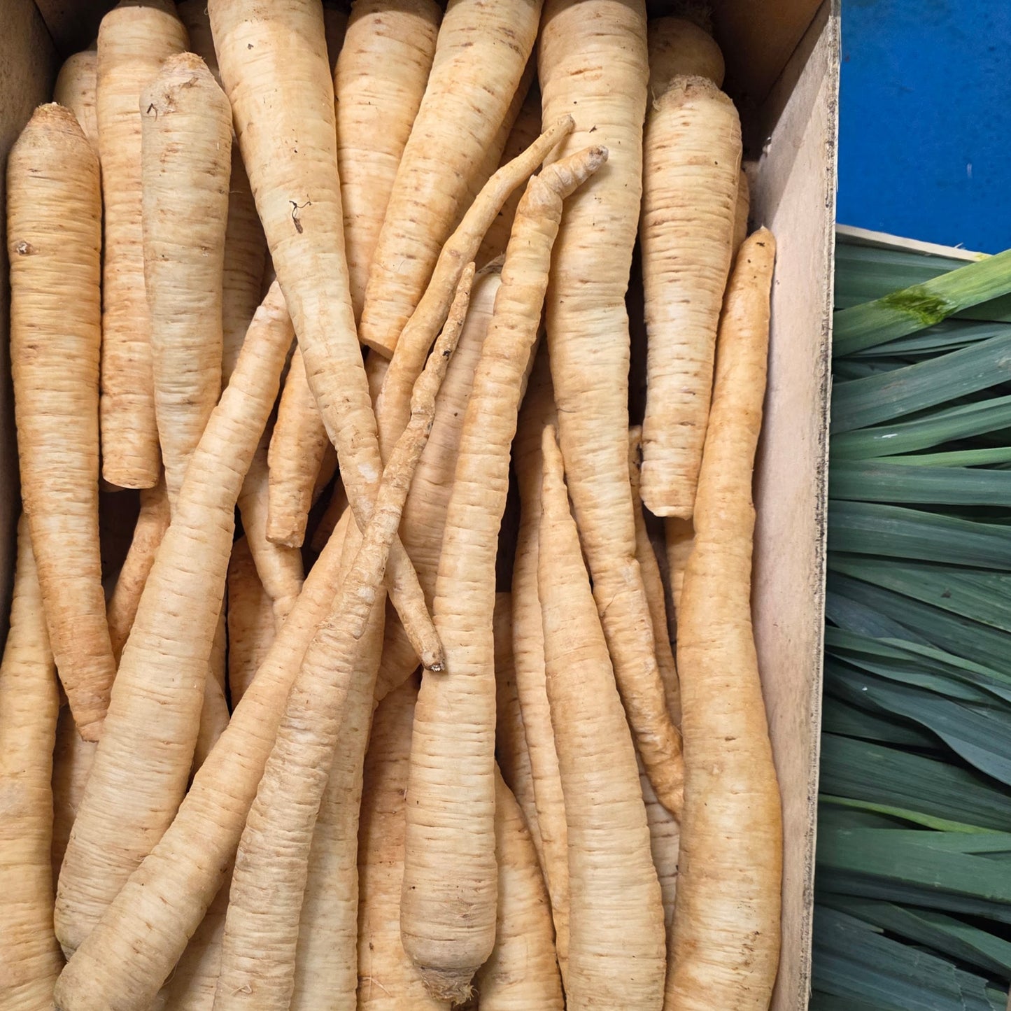 Velouté de Persil Tubéreux