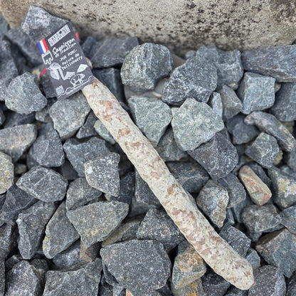 Saucisson sec au poivre de Tellicherry artisanal Auvergne – Le Picnic Français