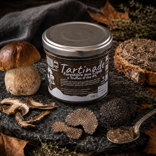 Tartinade Forestière aux Cèpes et Truffe d'été